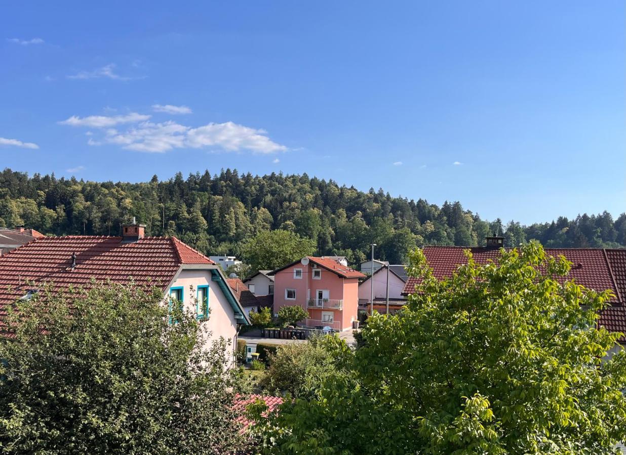 Apartment Malina - Free Private Parking Любляна Екстер'єр фото